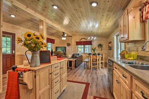 Secluded Mountain Cabin in Wardensville!