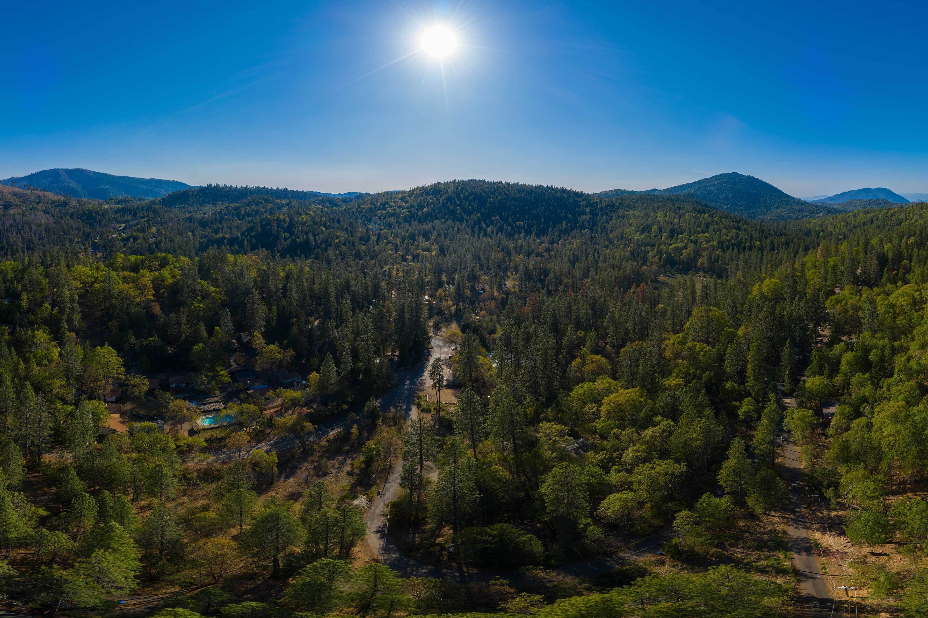 A forested valley with a clear sky and distant mountains.