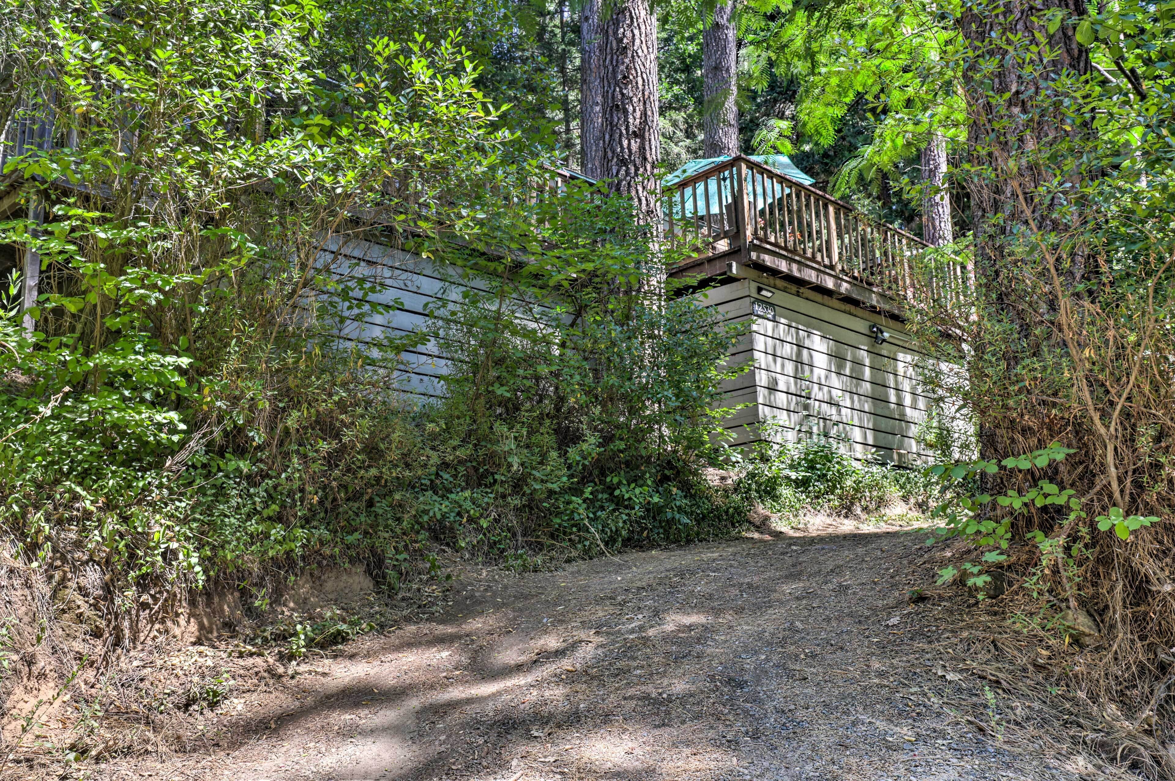 A dirt path leading to a wooden structure with a green roof, surrounded by dense foliage.