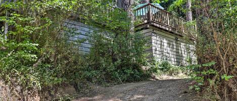 A dirt path leading to a wooden structure with a green roof, surrounded by dense foliage.
