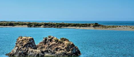 A coastal landscape with a prominent rocky outcrop in the water.