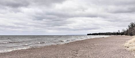A beach with a pebbly shore and a forest in the background.