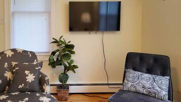 Una sala de estar con un televisor de pantalla plana en la pared, una planta en maceta y dos sillones con cojines estampados.