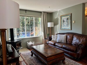 Télévision, cheminée, chaîne hi-fi