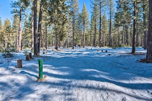 A snowy forest with tall pine trees and a clear sky.
