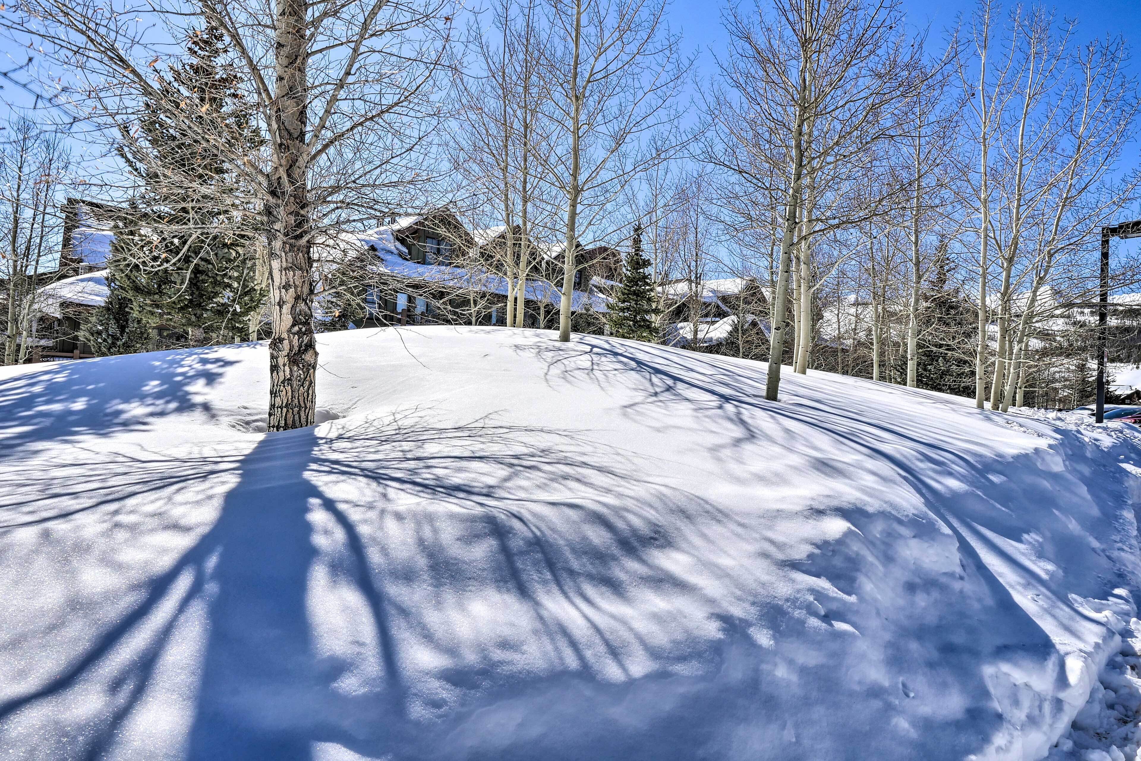 A snow-covered landscape with bare trees and houses in the background.
