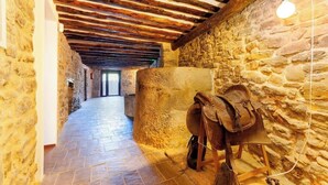 A stone-walled corridor with a wooden ceiling and a large stone block. - Casa Fumanal - Unique Property for up to 24 (Abizanda)