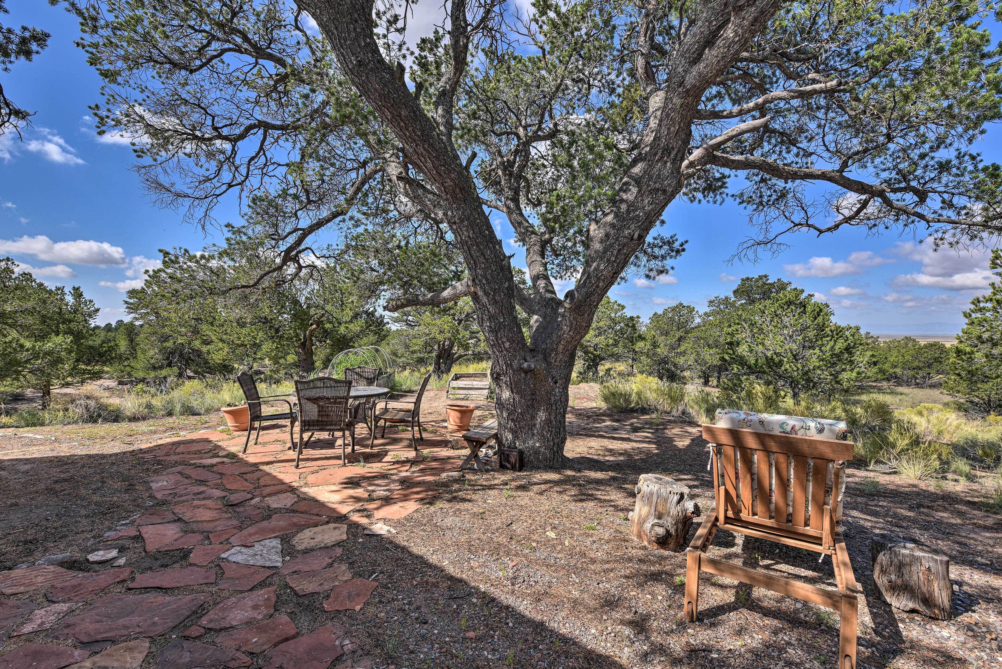 平房 (2 Bedrooms) | 住宿內部