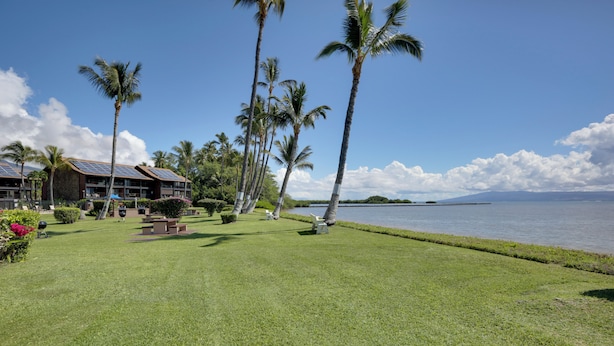A well-maintained lawn with palm trees, a building with solar panels, and a view of the water. - Breezy Kaunakakai Retreat w/ Community Pool! (Kaunakakai)