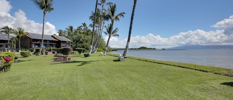 Departamento (1 Bedroom) | Interior