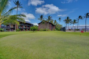 Apartment (1 Bedroom) | Innenbereich