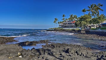 A coastal hotel with a rocky shoreline, palm trees, and ocean views.