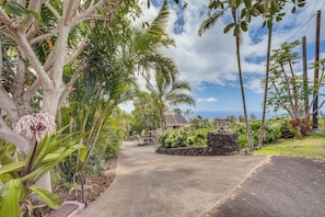 Um bairro residencial com um caminho de entrada pavimentado, um muro de pedra e diversificada vegetação tropical.