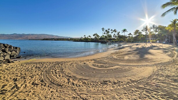 A beach with a clear sky, palm trees, and a sun shining. - Kona Coast Condo w/ Lanai & Outdoor Kitchen! (Kamuela)