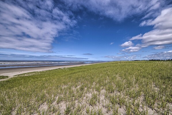 Un paysage côtier avec une plage de sable et des dunes herbeuses.