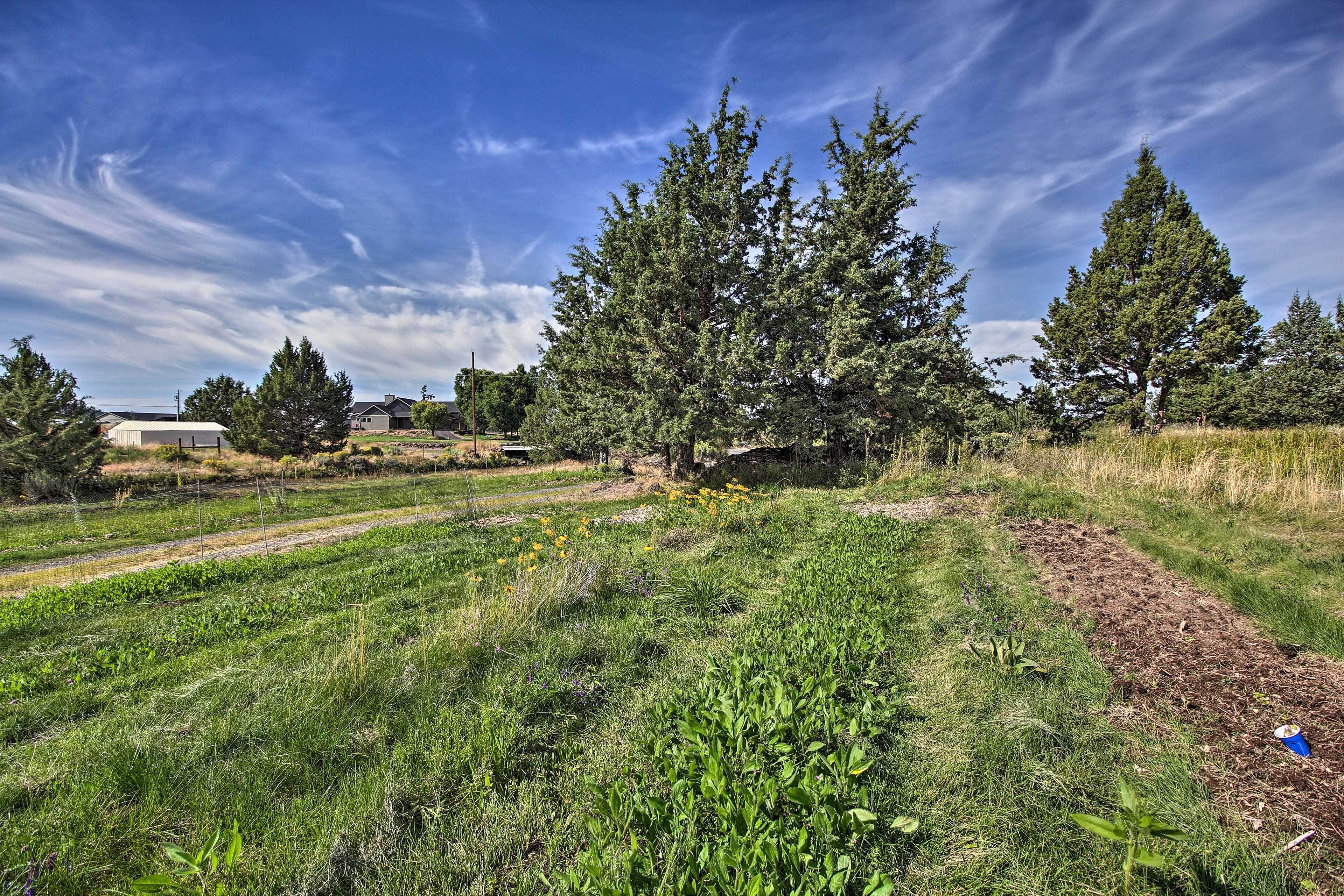 A rural landscape with fields, trees, and a clear sky.