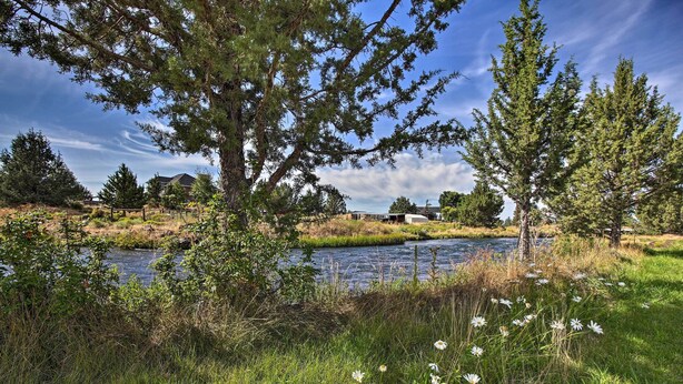 Flusslandschaft mit Bäumen, Gras und einem Gebäude im Hintergrund.