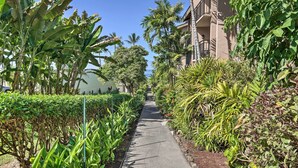 A pathway flanked by lush greenery and a building with balconies. - Kailua-kona Condo w/ 2 Private Lanais! (Kailua-Kona)