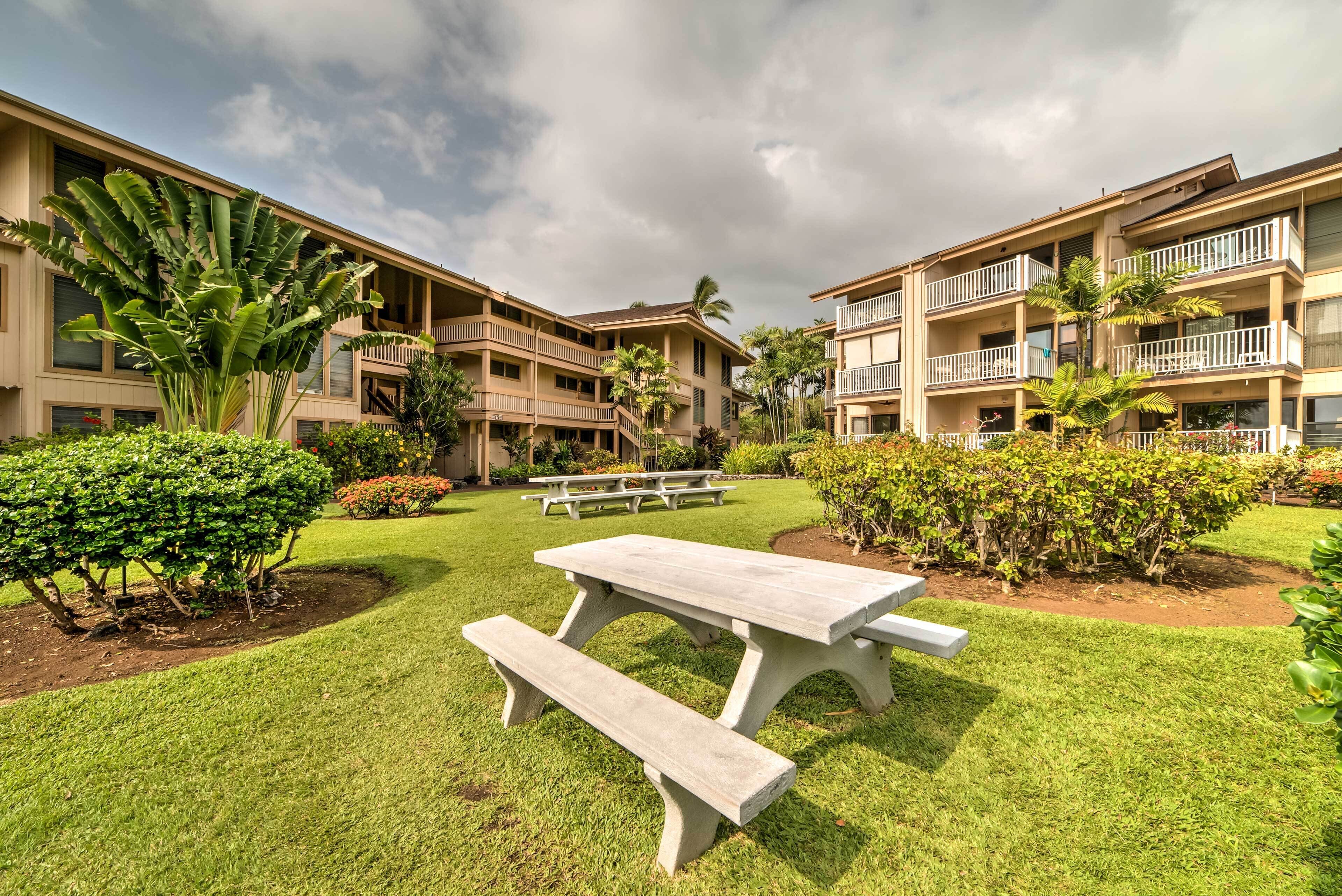 A courtyard with a picnic table and benches, surrounded by lush greenery and palm trees, with multi-story buildings in the background.