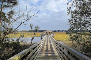 Apartment (2 Bedrooms) | Interior - Oceanfront Hilton Head Island Condo! (Hilton Head Island)