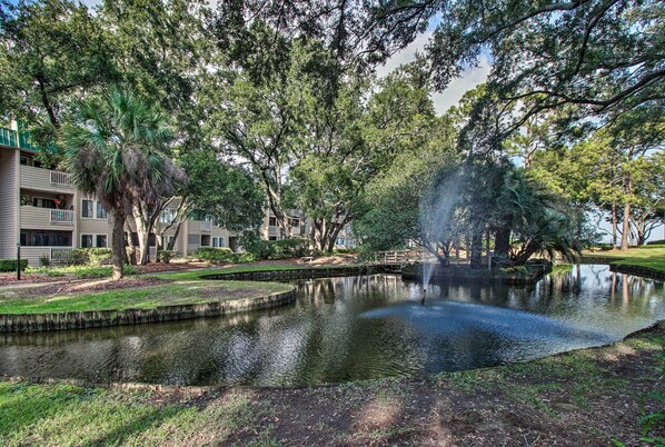 Apartment (2 Bedrooms) | Interior - Oceanfront Hilton Head Island Condo! (Hilton Head Island)