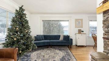 Télévision, cheminée, espaces bureaux