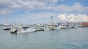 Un port de plaisance où divers bateaux sont amarrés aux quais.