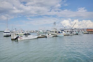 아파트 (1 Bedroom) | 내부