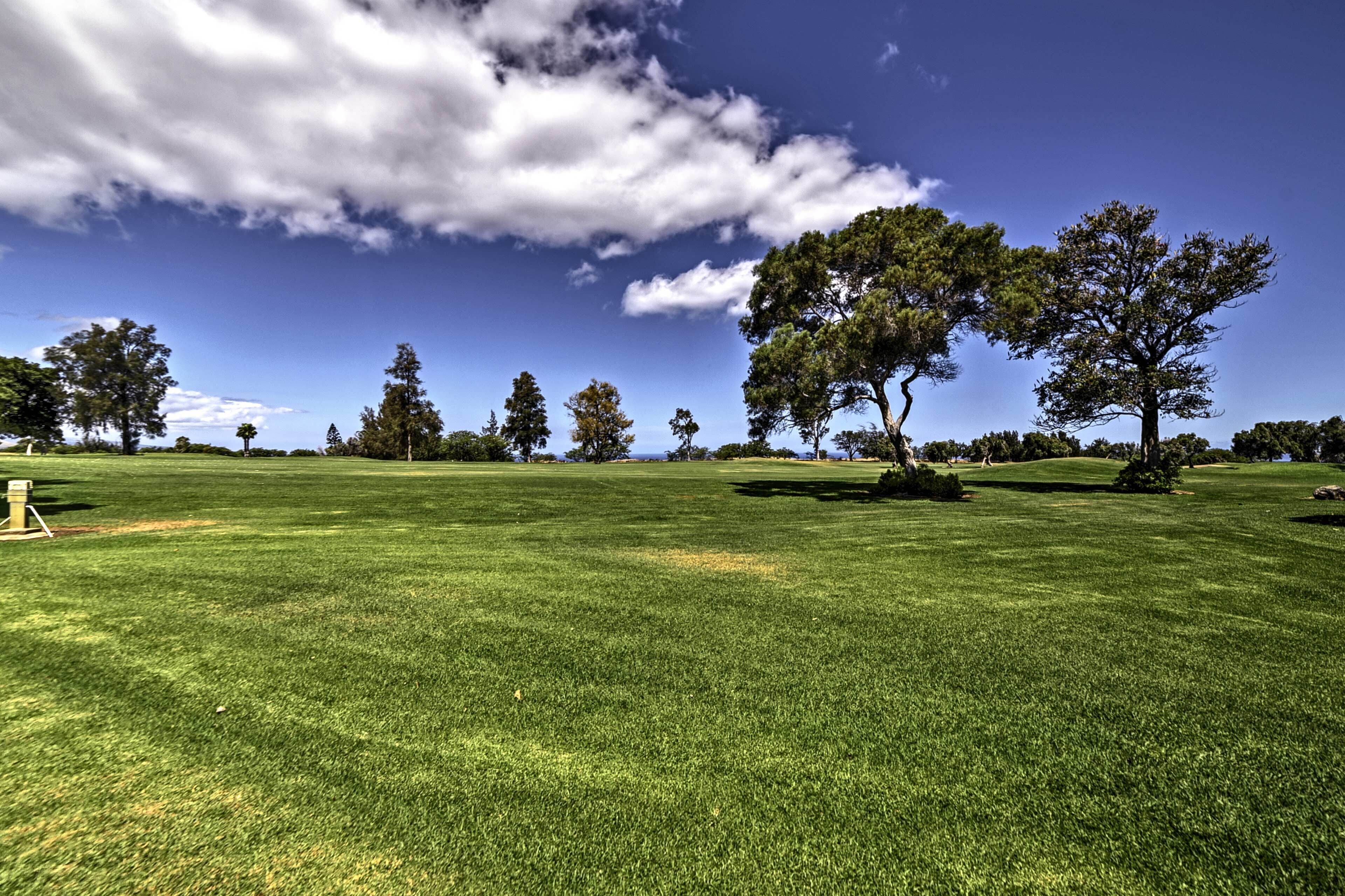 A grassy field with trees and a clear sky.