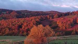 Een landelijk landschap met glooiende heuvels en diverse bomen in herfstkleuren.