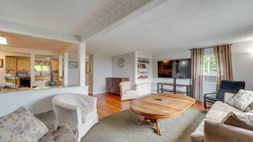 TV, fireplace, video game console, books