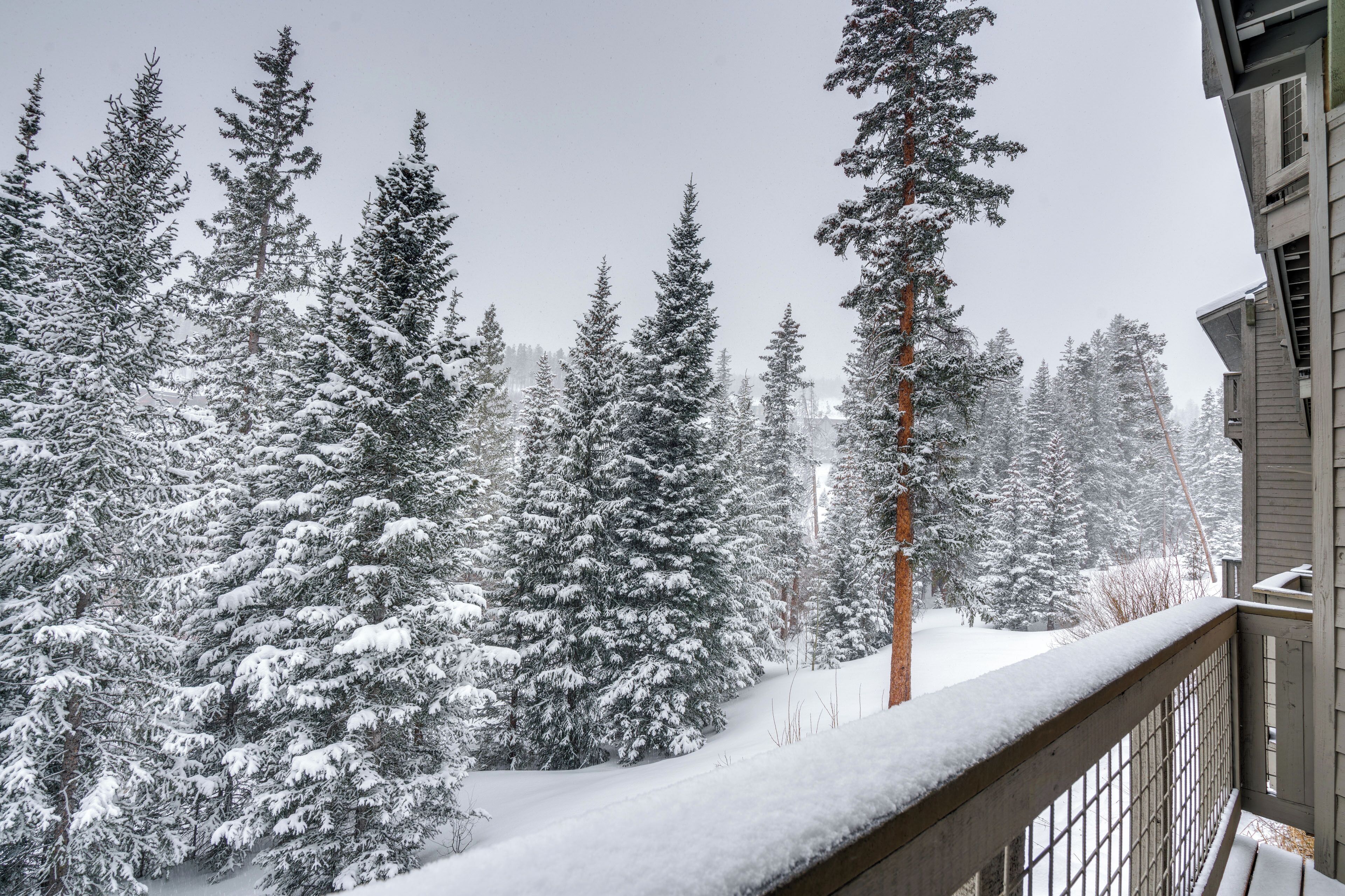 A snowy forest scene with a wooden balcony railing.