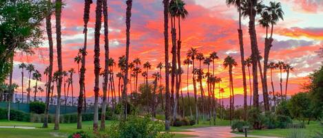 Appartement (2 Bedrooms) | Intérieur