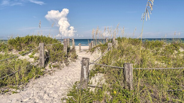 A sandy beach path with wooden posts and a fence leading to the ocean.