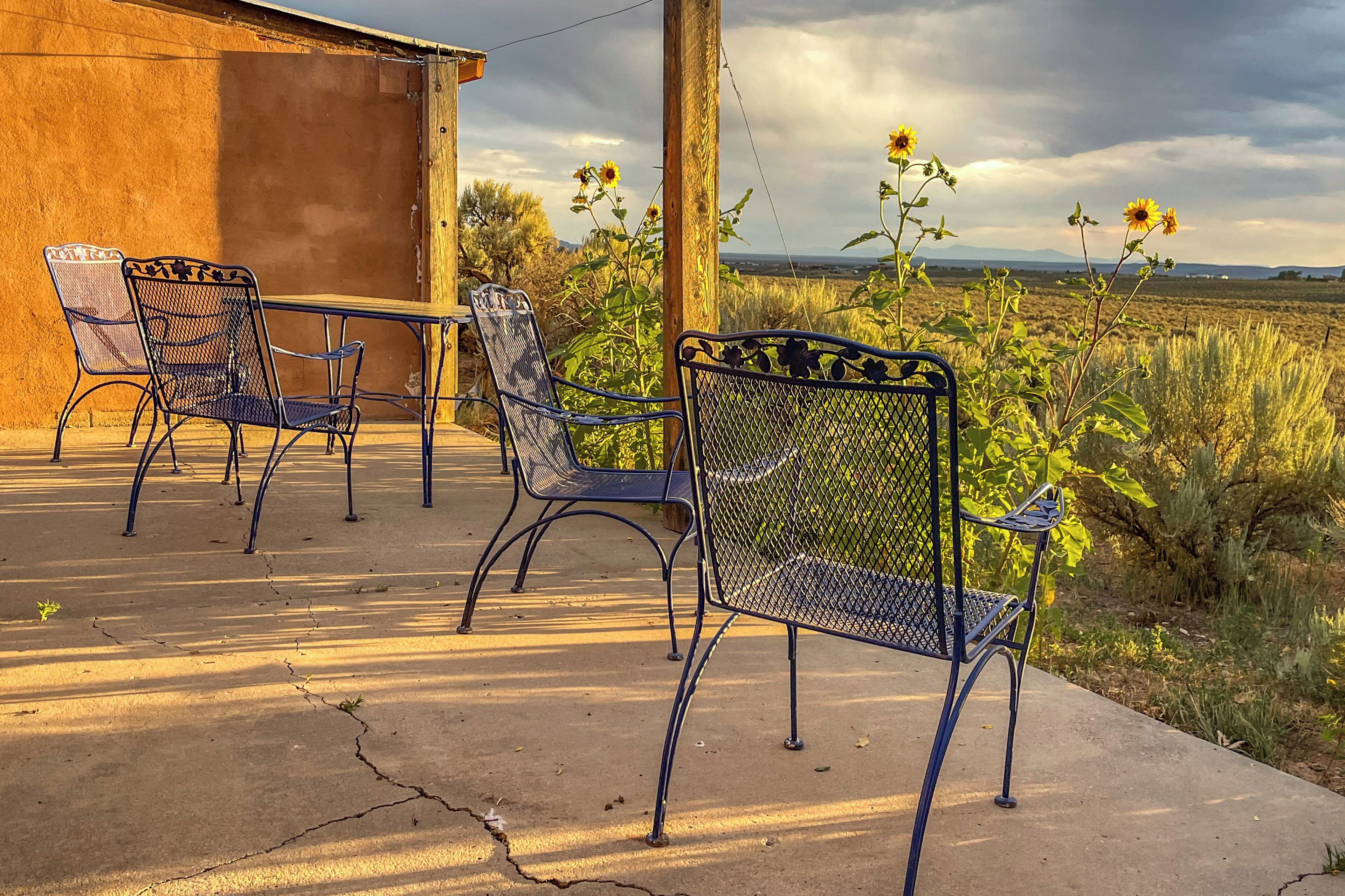Mobiliario exterior con sillas de metal y una mesa, suelo de hormigón y vistas a un campo de girasoles.