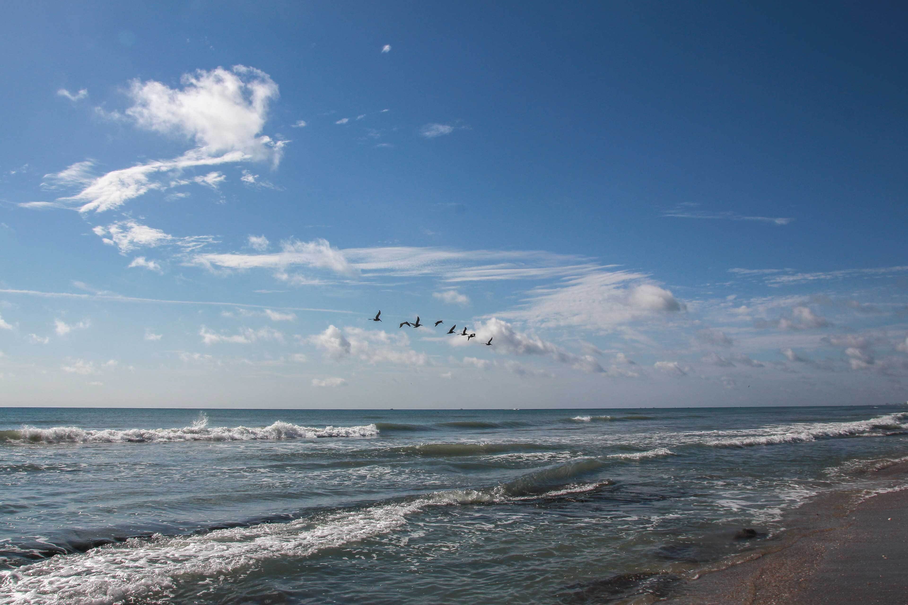 A beach with waves and birds flying in the sky.
