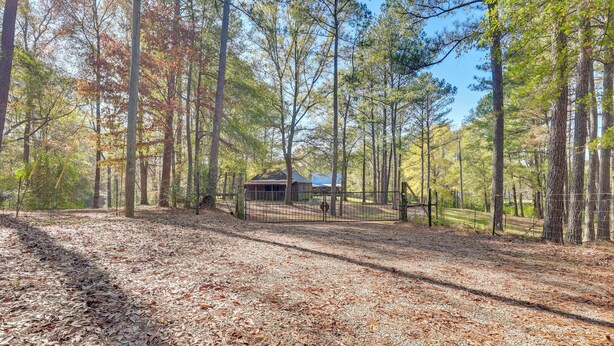 A forested area with a fenced enclosure and a small building. - Cabin w/ Catch & Release Pond in Hueytown! (Bessemer)