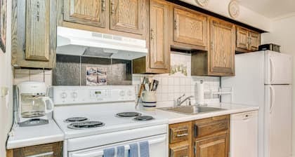 Renovated Ski-in/ski-out Peru Condo at Bromley Mtn