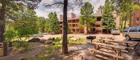 Apartment (1 Bedroom) | Interior