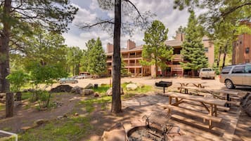 Apartment (1 Bedroom) | Interior