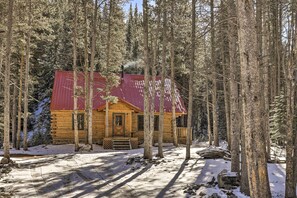 Interior - Ski & Hike! Hot Tub Hideaway in Breckenridge (Breckenridge)