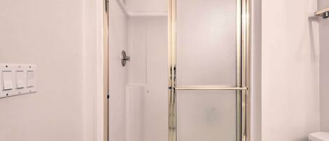 A walk-in shower with a glass door, a white toilet, and a wall-mounted light switch.