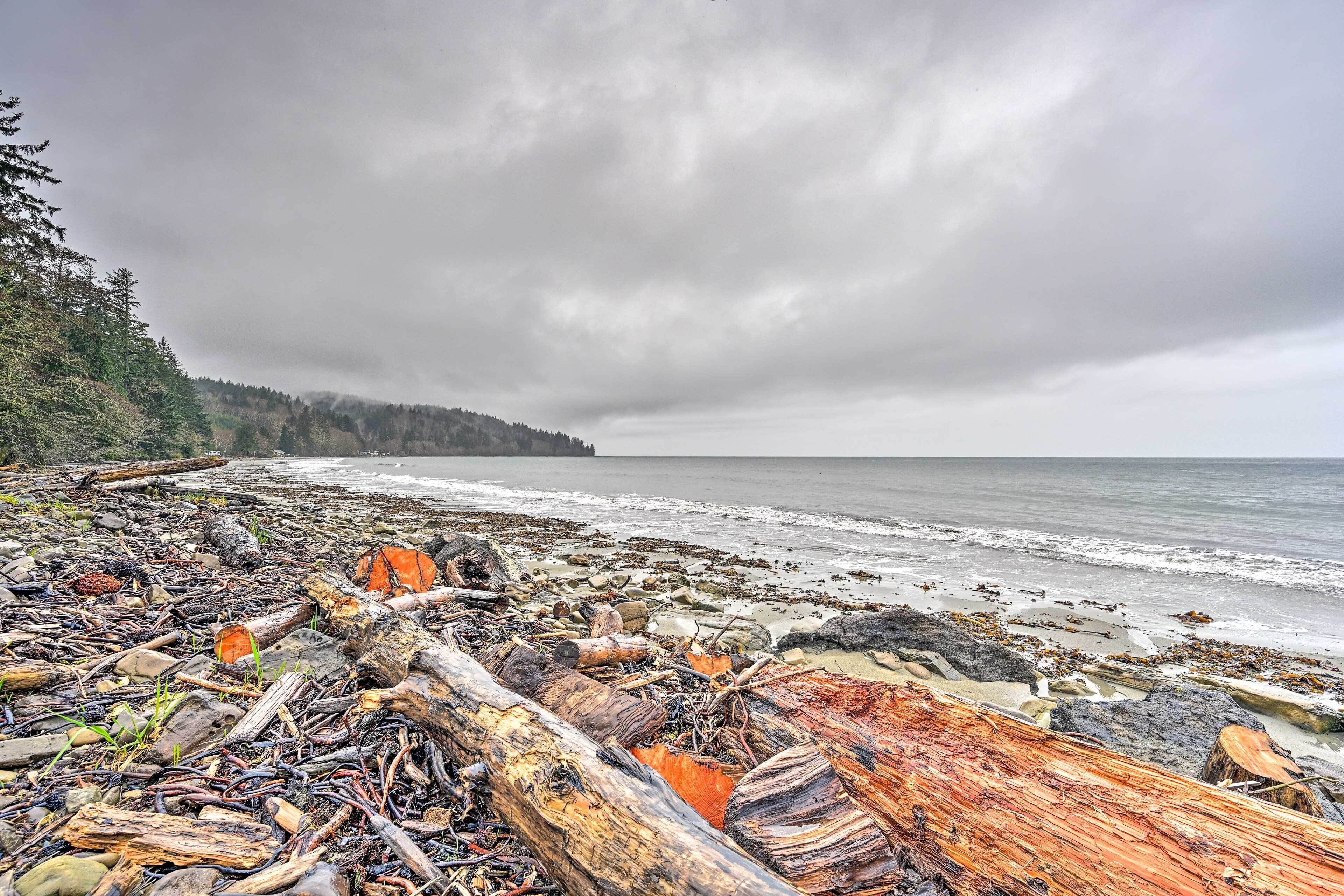 House (1 Bedroom) | Interior