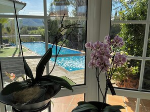Quarto com vista para uma piscina, uma orquídea em vaso e uma planta pendente.