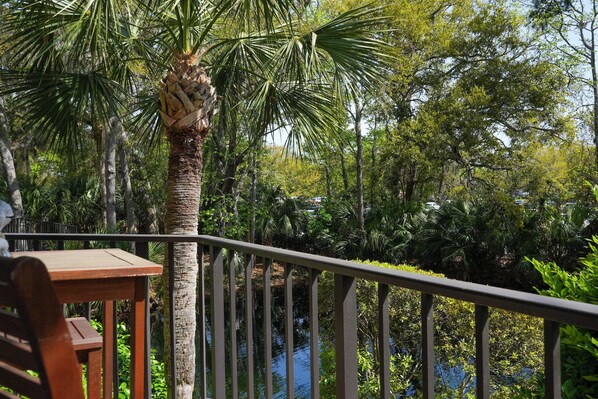 Villa (1 Bedroom) | Interior - Pool & Beach Access: Villa on Hilton Head Island (Hilton Head Island)
