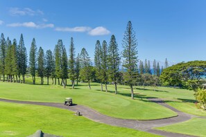 Apartment (1 Bedroom) | Innenbereich