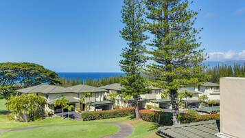 Appartement (1 Bedroom) | Intérieur