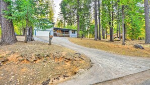 A cabin with a porch, surrounded by tall trees and a dirt path leading to it.