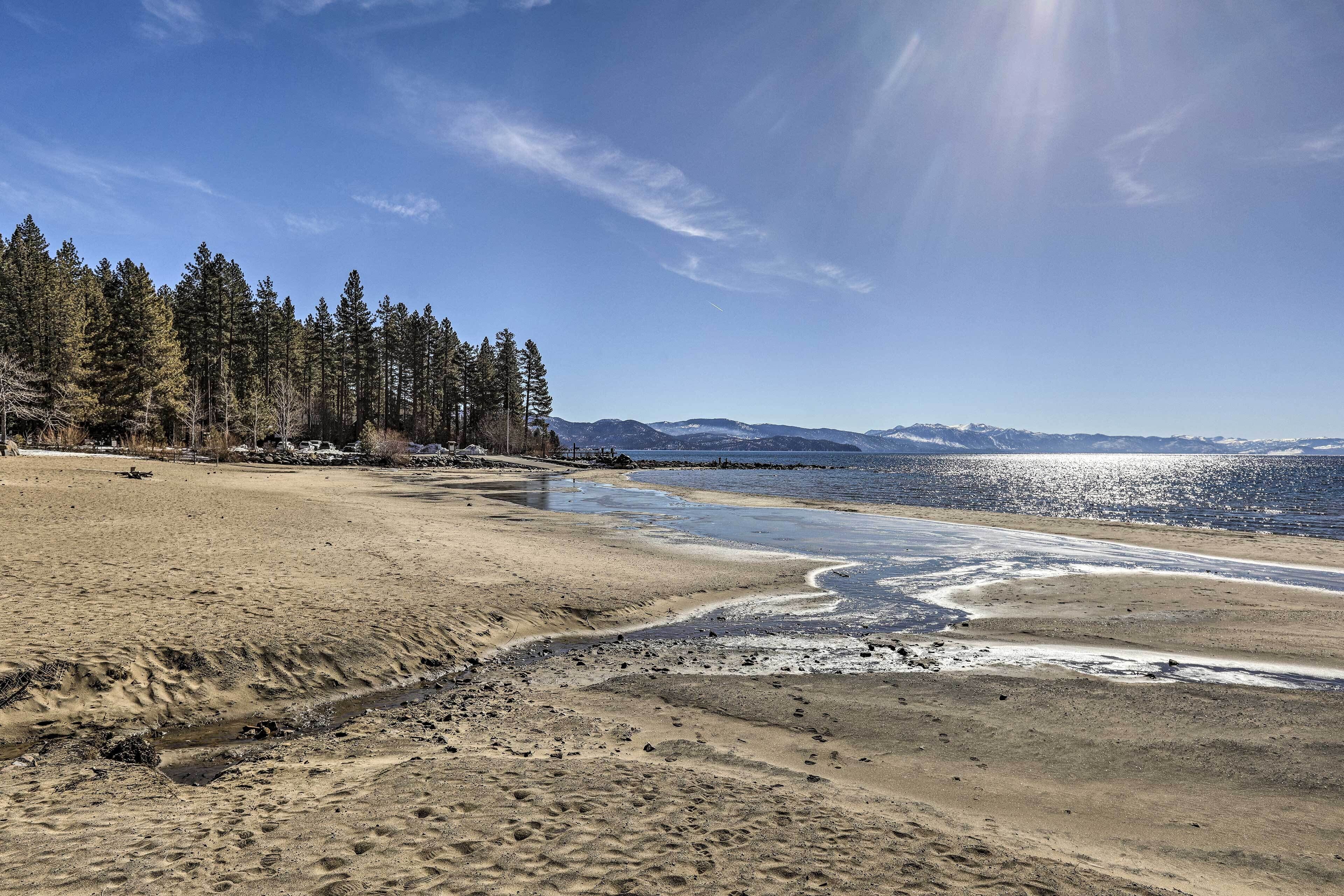 A beach with a clear sky, sandy shore, and a forest in the background.