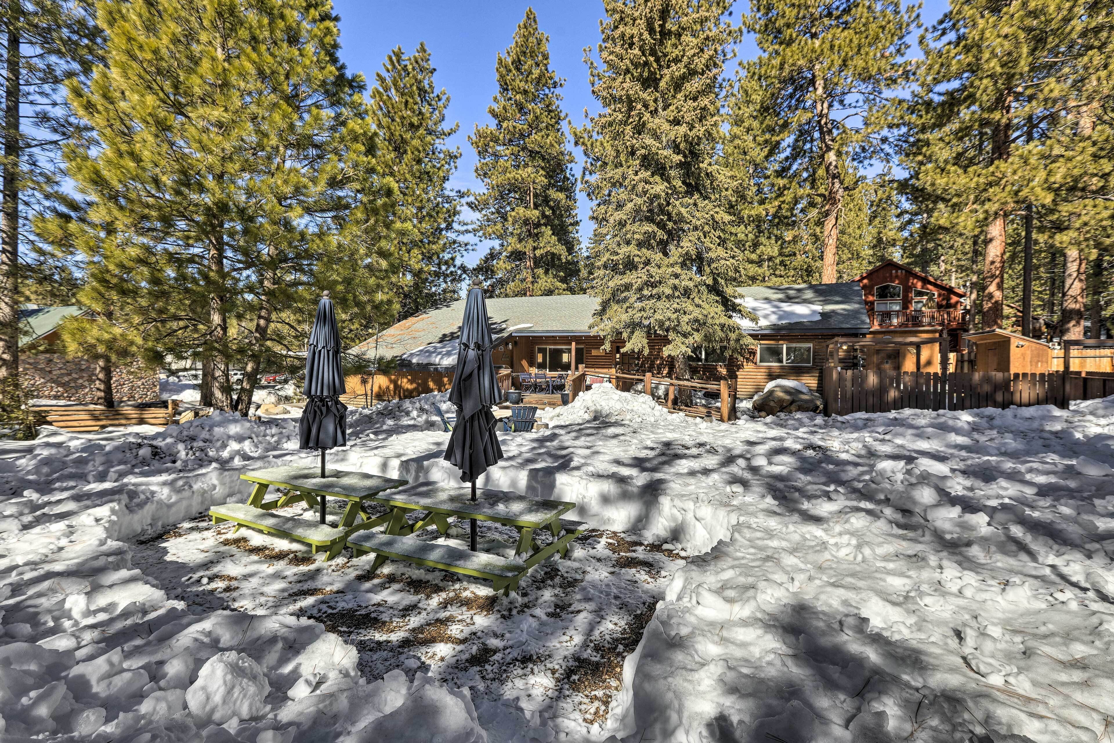 A cabin surrounded by snow-covered ground and tall pine trees.